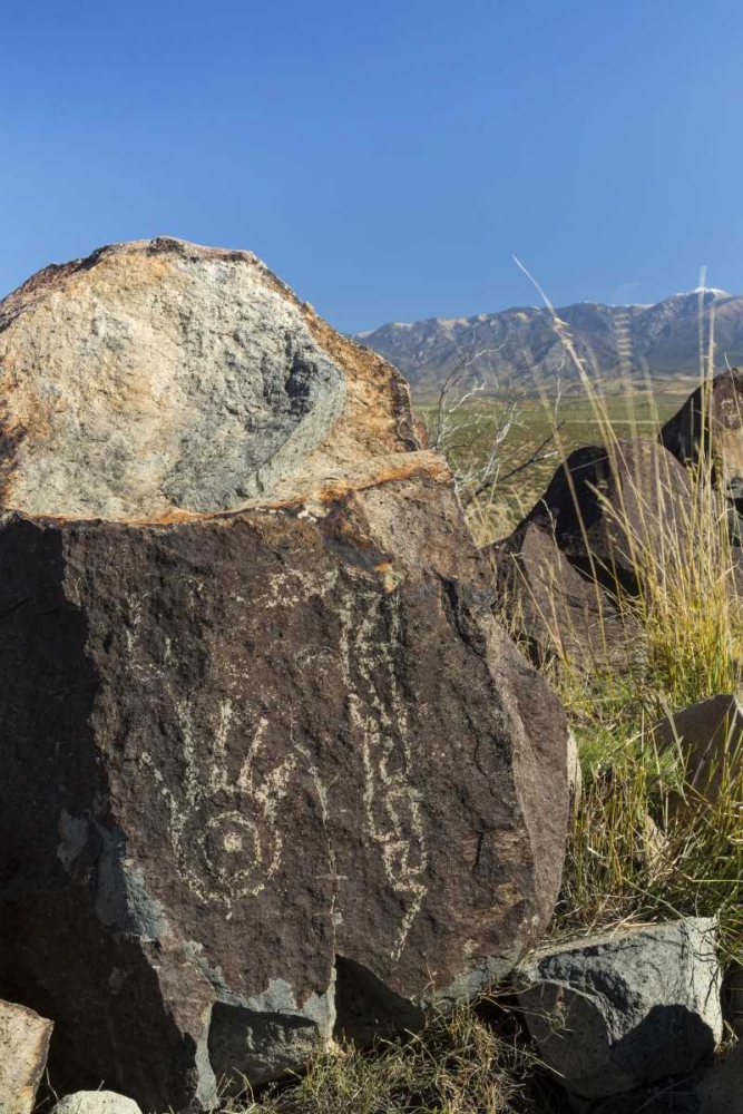 New Mexico, Three Rivers Petroglyph etchings art print by Don Paulson for $57.95 CAD