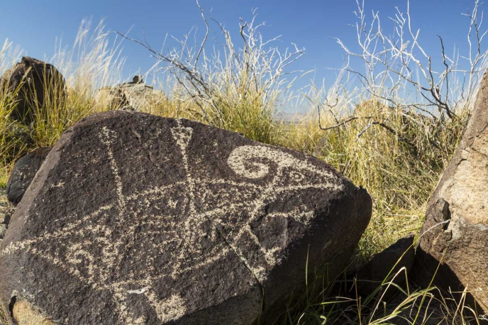 New Mexico, Three Rivers, Petroglyph on rock art print by Don Paulson for $57.95 CAD