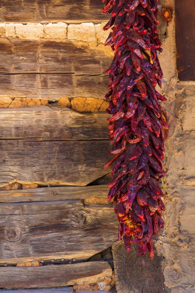 USA, New Mexico, Pinos Altos Ristas hung to dry art print by Don Paulson for $57.95 CAD