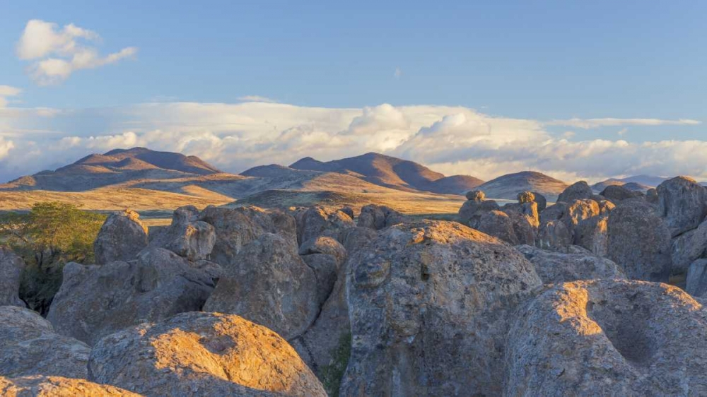 New Mexico, City of Rocks Landscape of boulders art print by Don Paulson for $57.95 CAD