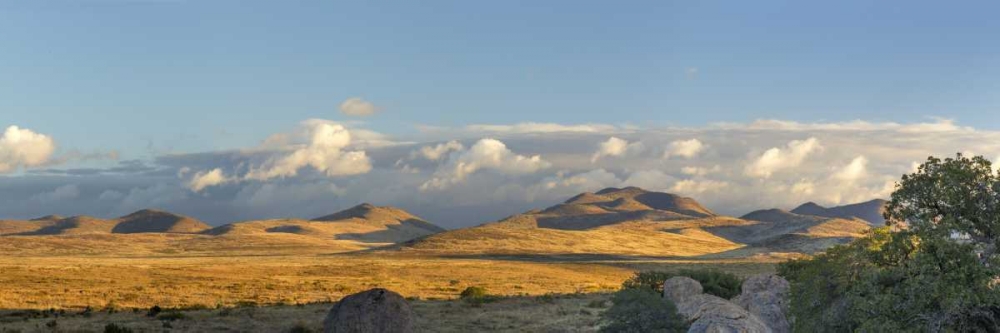 New Mexico, City of Rocks SP Panoramic composite art print by Don Paulson for $57.95 CAD