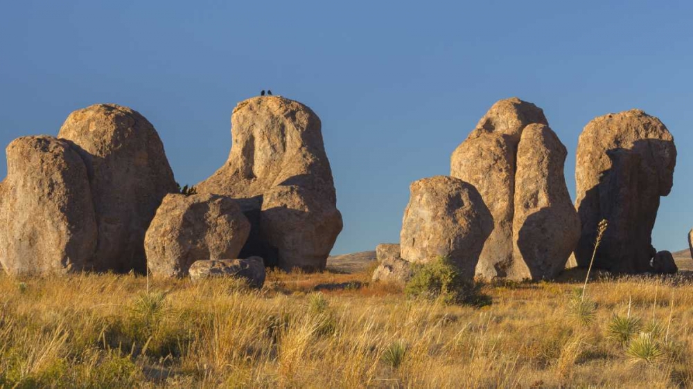New Mexico, City of Rocks SP Ravens on a boulder art print by Don Paulson for $57.95 CAD