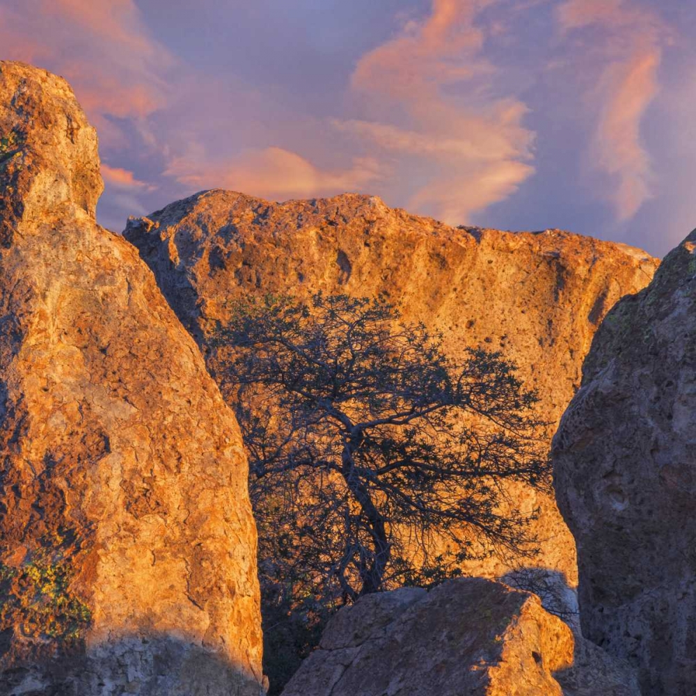 New Mexico, City of Rocks SP Sunset on boulders art print by Don Paulson for $57.95 CAD