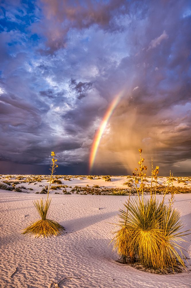 USA-New Mexico-White Sands National Park Thunderstorm rainbow over desert art print by Jaynes Gallery for $57.95 CAD