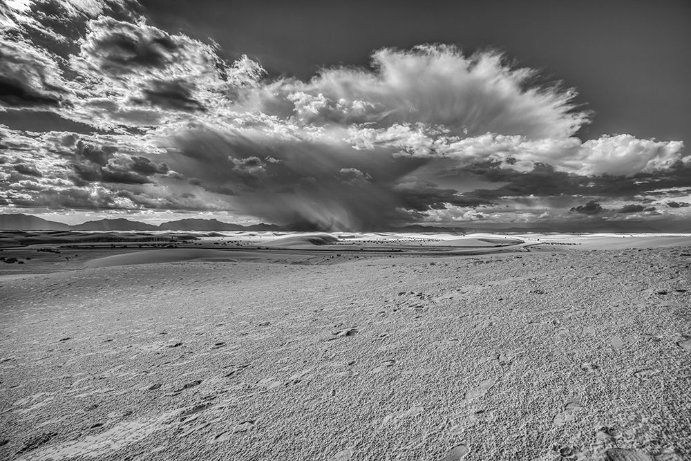 USA- New Mexico- White Sands National Park. Black and white art print by Jaynes Gallery for $57.95 CAD