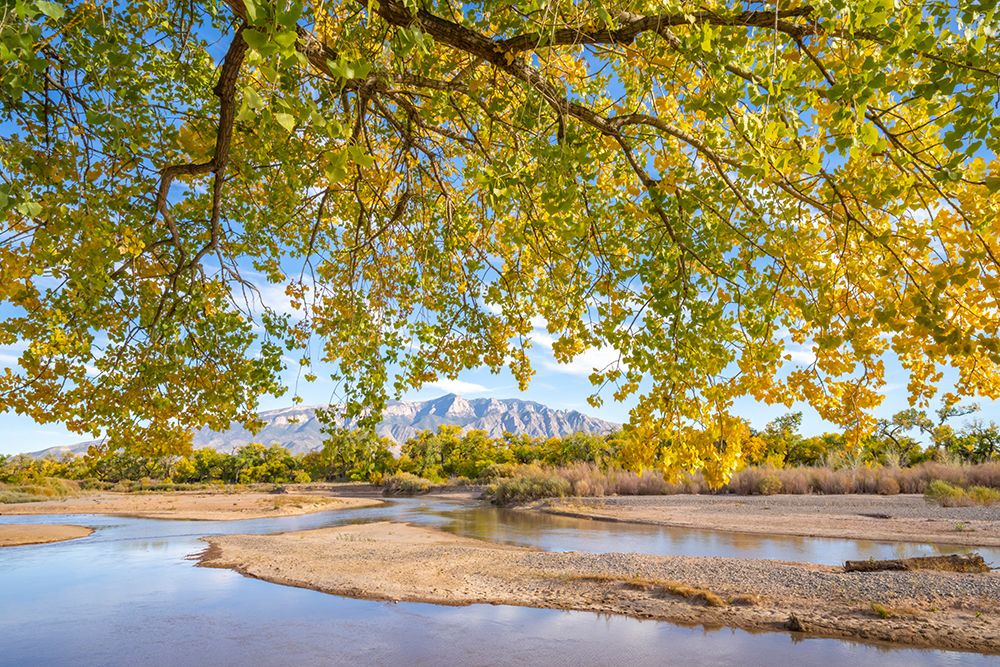 USA- New Mexico- Sandoval County. Sandia Mountains and Rio Grande River in autumn. art print by Jaynes Gallery for $57.95 CAD