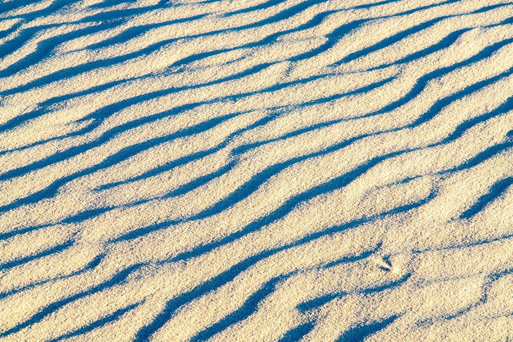 USA- New Mexico- White Sands National Monument. Ripple patterns in white sand dune. art print by Jaynes Gallery for $57.95 CAD