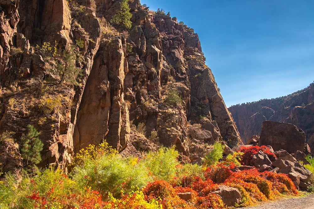 USA, New Mexico, Jemez National Recreation Area. Cliff and red Virginia creepers. art print by Jaynes Gallery for $57.95 CAD