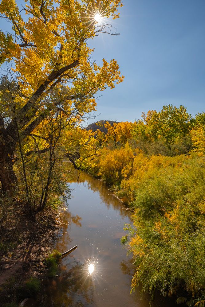 USA, New Mexico, Jemez National Recreation Area. Sun reflection and cottonwood trees around stream. art print by Jaynes Gallery for $57.95 CAD