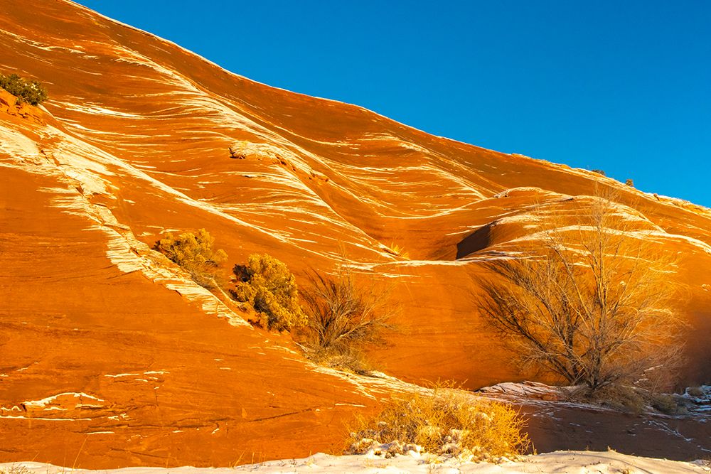 USA, New Mexico, Gallup, Red Rock Park. Sunrise and snow on mountain. art print by Jaynes Gallery for $57.95 CAD