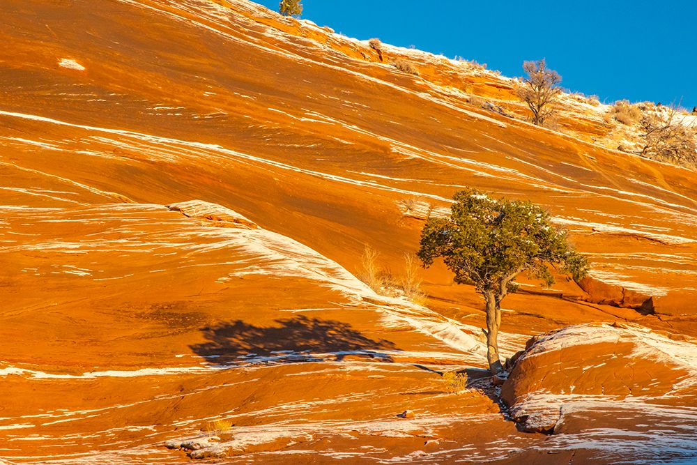 USA, New Mexico, Gallup, Red Rock Park. Sunrise and snow on mountain. art print by Jaynes Gallery for $57.95 CAD