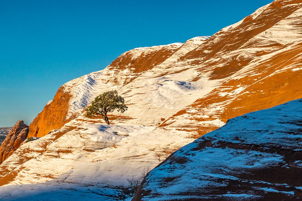 USA, New Mexico, Gallup, Red Rock Park. Sunrise and snow on mountain. art print by Jaynes Gallery for $57.95 CAD