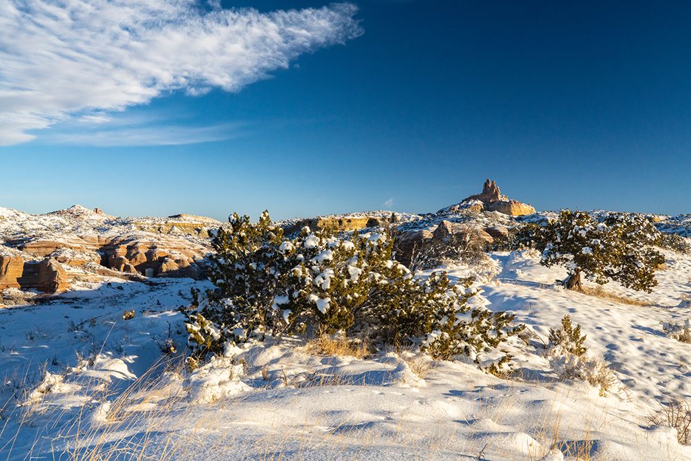 USA, New Mexico, Gallup, Red Rock Park. Church Rock in winter sunrise. art print by Jaynes Gallery for $57.95 CAD