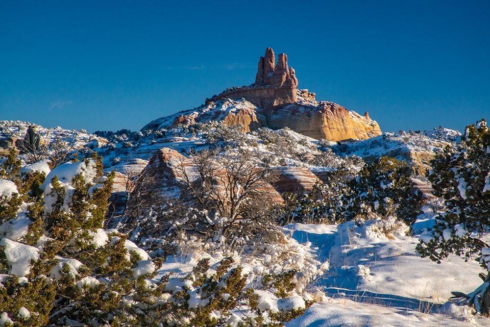 USA, New Mexico, Gallup, Red Rock Park. Church Rock in winter sunrise. art print by Jaynes Gallery for $57.95 CAD