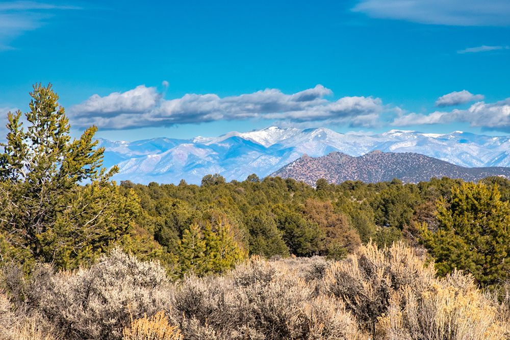 USA, New Mexico, Rio Grande del Norte National Monument. Forest and mountain landscape. art print by Jaynes Gallery for $57.95 CAD