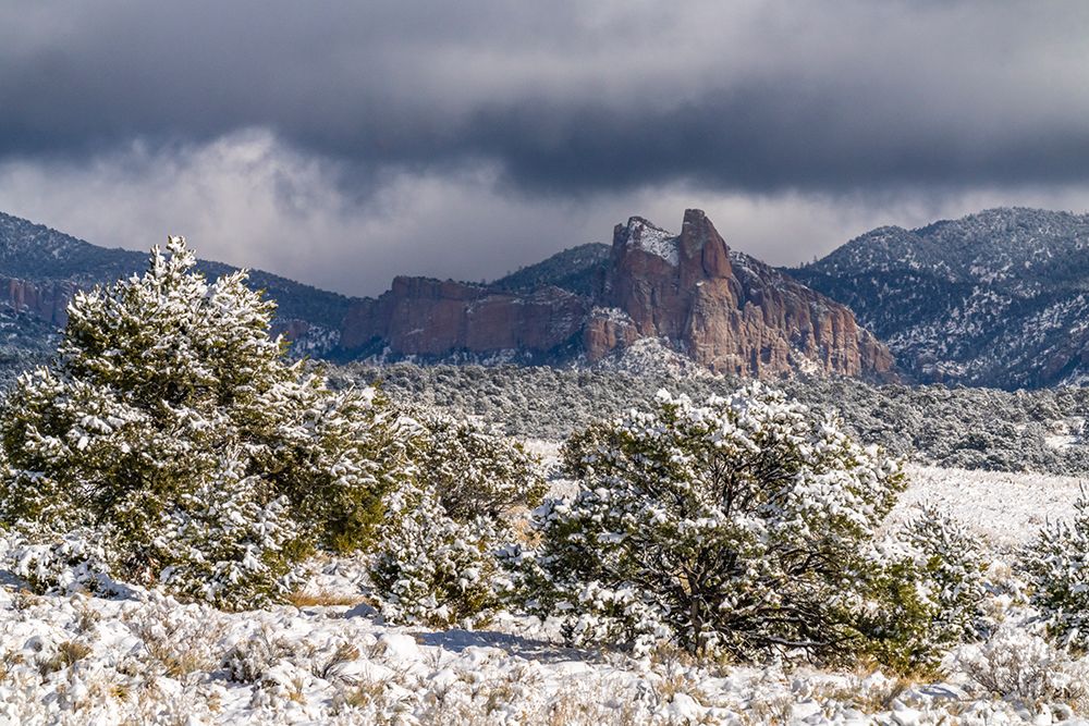 USA, New Mexico, Cibola National Forest. Fresh snow on Sawtooth Mountains. art print by Jaynes Gallery for $57.95 CAD