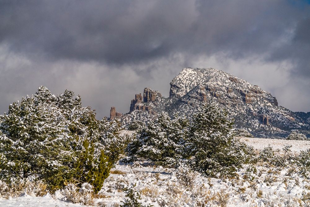 USA, New Mexico, Cibola National Forest. Fresh snow on Sawtooth Mountains. art print by Jaynes Gallery for $57.95 CAD