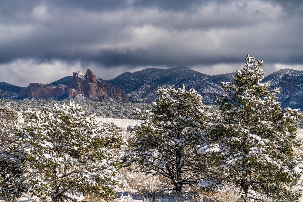 USA, New Mexico, Cibola National Forest. Fresh snow on Sawtooth Mountains. art print by Jaynes Gallery for $57.95 CAD