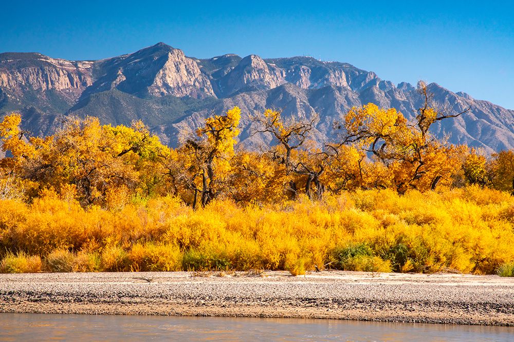 USA, New Mexico. Rio Grande River and Sandia Mountains in autumn. art print by Jaynes Gallery for $57.95 CAD
