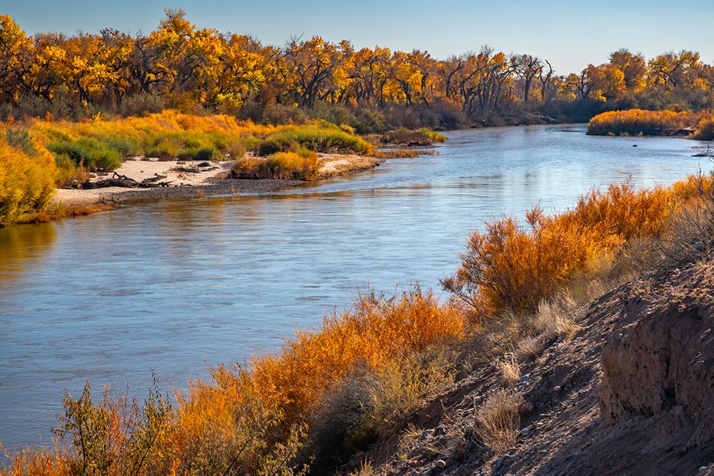 USA, New Mexico. Rio Grande River and cottonwood trees in autumn. art print by Jaynes Gallery for $57.95 CAD