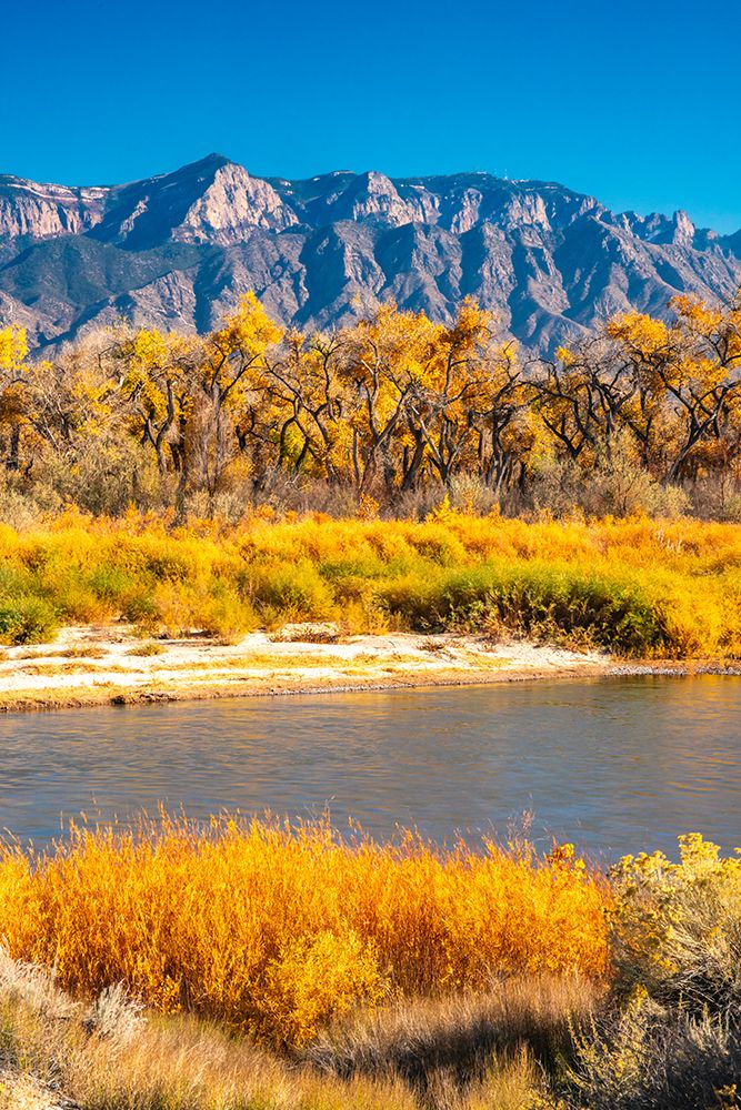 USA, New Mexico. Rio Grande River and Sandia Mountains in autumn. art print by Jaynes Gallery for $57.95 CAD