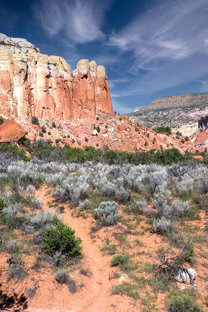 USA-New Mexico Carson National Forest-near Ghost Ranch art print by Janell Davidson for $57.95 CAD