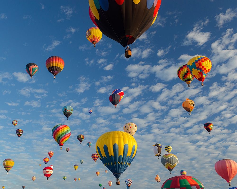Mass Ascension Albuquerque International Balloon Fiesta-Albuquerque-New Mexico art print by Maresa Pryor for $57.95 CAD
