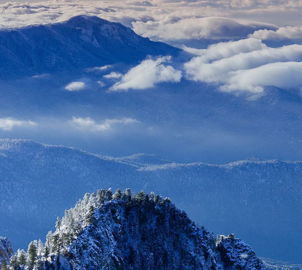 View from the Sandia Mountain Wilderness-New Mexico art print by Maresa Pryor for $57.95 CAD