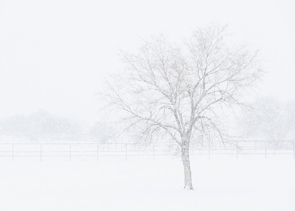 Snowscape in New Mexico art print by Maresa Pryor for $57.95 CAD