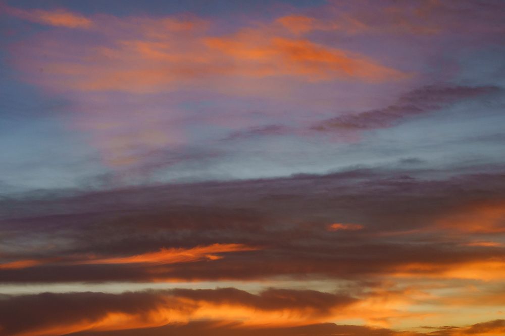 Colors at sunrise, Bosque del Apache National Wildlife Refuge, New Mexico art print by Maresa Pryor-Luzier for $57.95 CAD