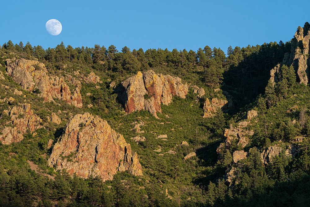 Super moon over Water Canyon, Cibola National Forest, New Mexico art print by Maresa Pryor-Luzier for $57.95 CAD