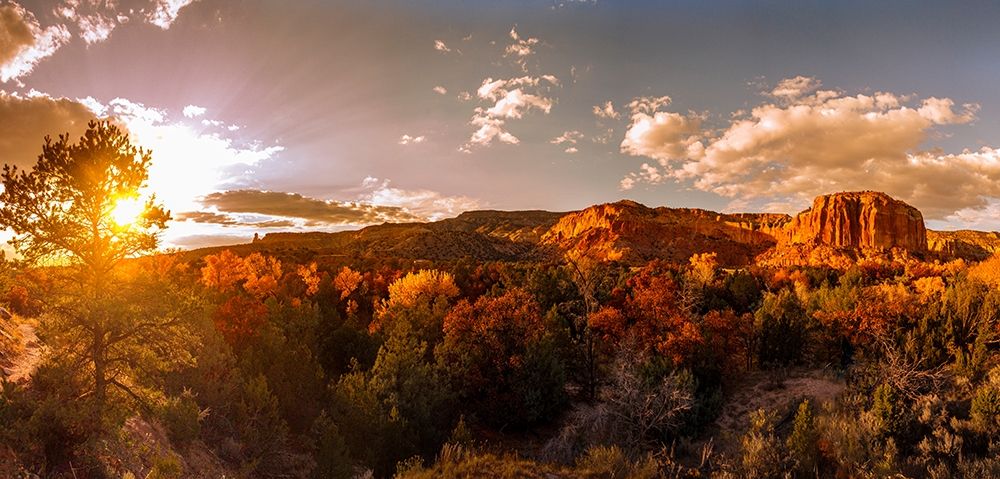 Sunset and fall colors New Mexico art print by Tom Norring for $57.95 CAD