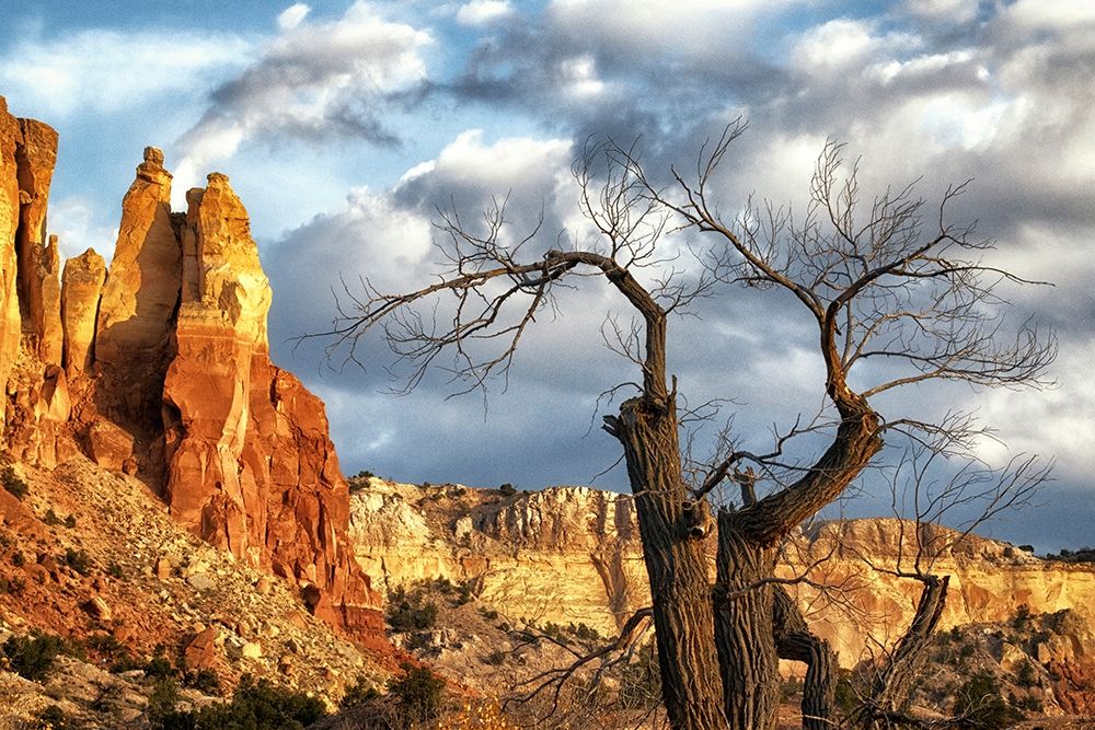 Dead tree and Fall Colors in New Mexico-USA art print by Tom Norring for $57.95 CAD