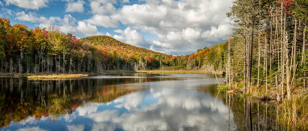 USA-New York-Adirondacks Autumn afternoon at Raquette Brook art print by Ann Collins for $57.95 CAD