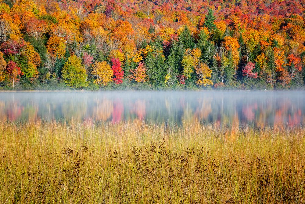 USA-New York-Adirondacks Lake Placid-morning sun at Connery Pond art print by Ann Collins for $57.95 CAD