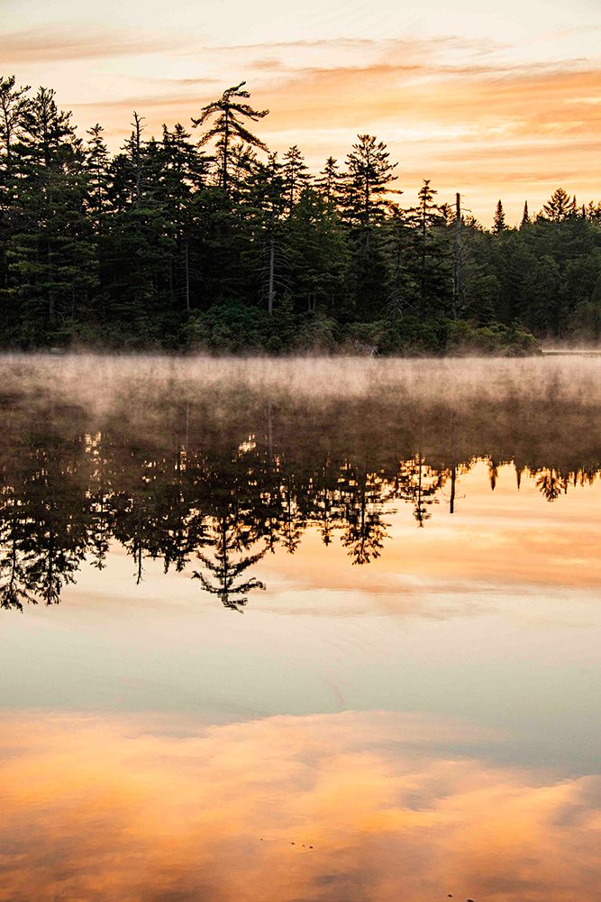 USA, New York. Adirondack Park, Saranac Lake, Hoel Pond, sunrise with tree reflections in the water art print by Alison Jones for $57.95 CAD