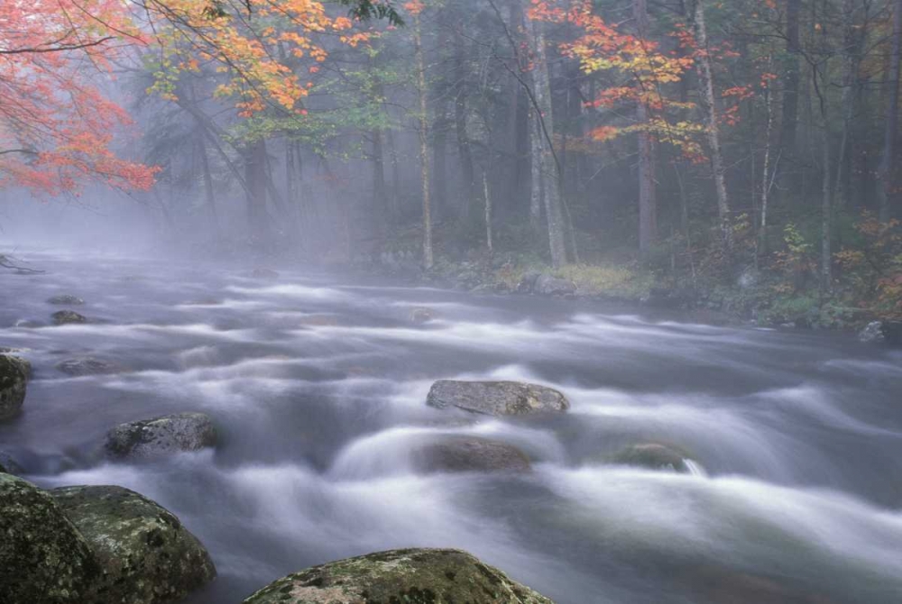 NY, Adirondacks, Big Moose River rapids in Fall art print by Nancy Rotenberg for $57.95 CAD