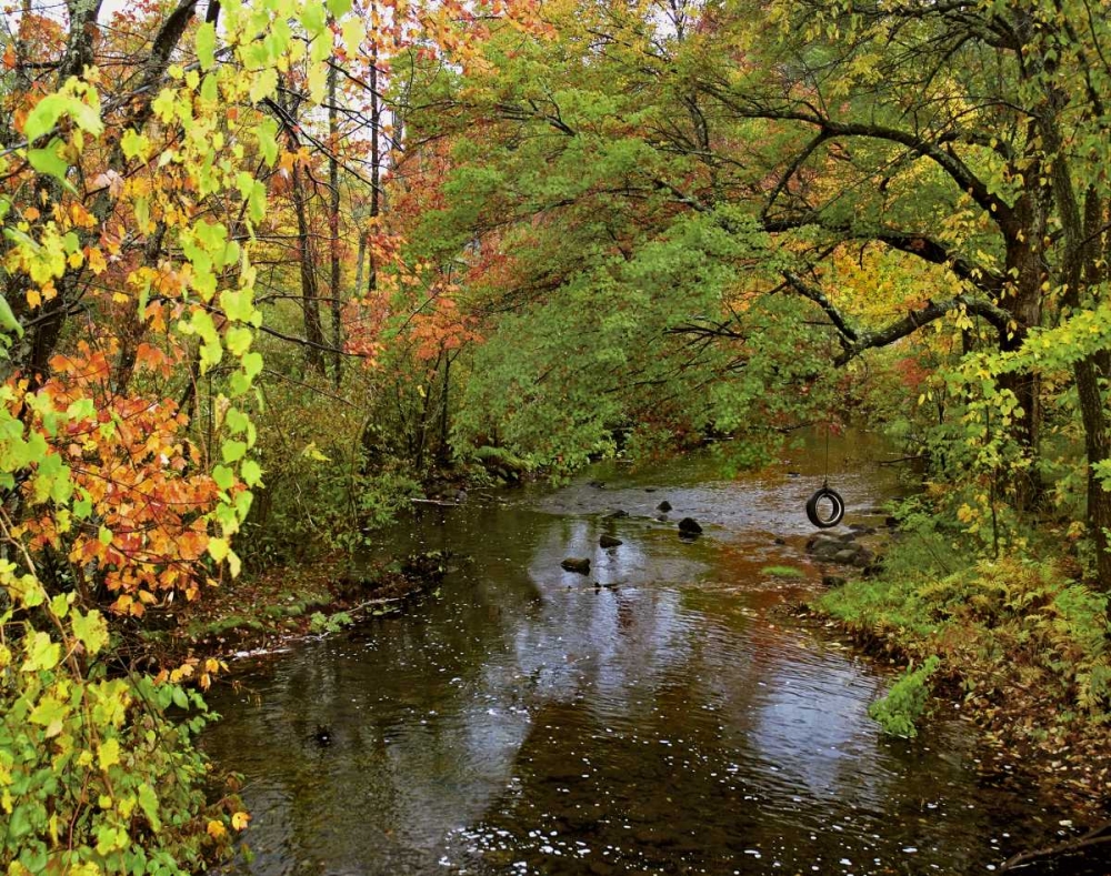 New York Tire swing hangs over Brant Creek art print by Steve Terrill for $57.95 CAD