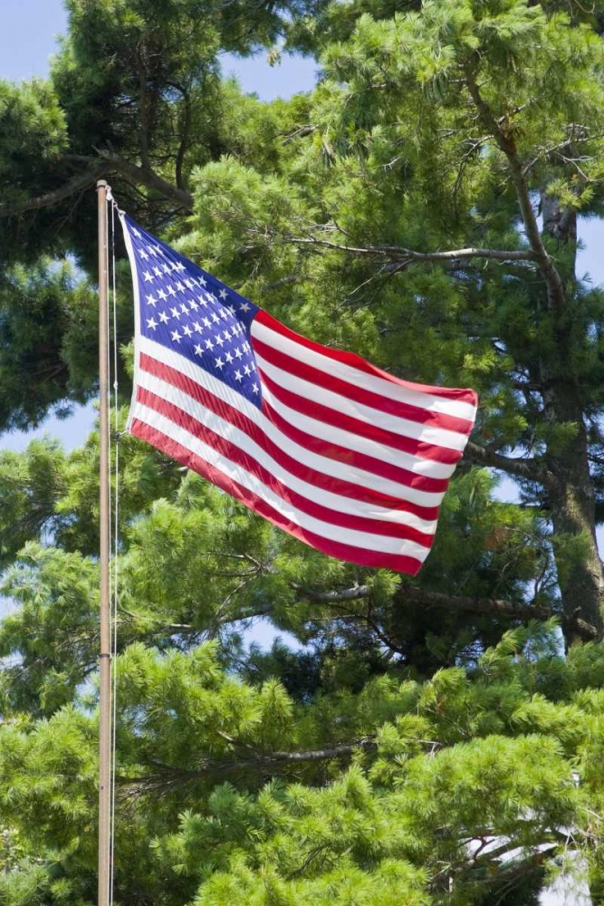 NY, St Lawrence River American flag on flagpole art print by Fred Lord for $57.95 CAD