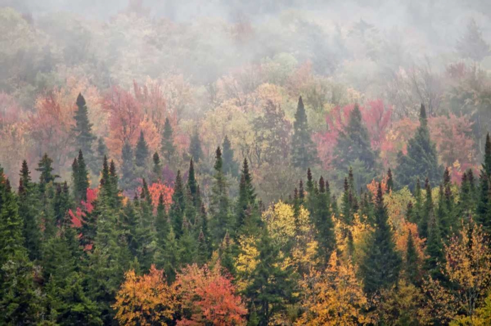 USA, New York, Adirondacks State Park art print by Jay OBrien for $57.95 CAD