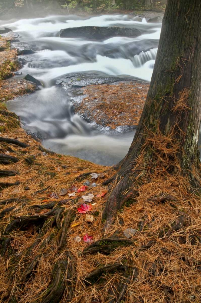USA, New York, Inlet Mist over rushing stream art print by Jay OBrien for $57.95 CAD