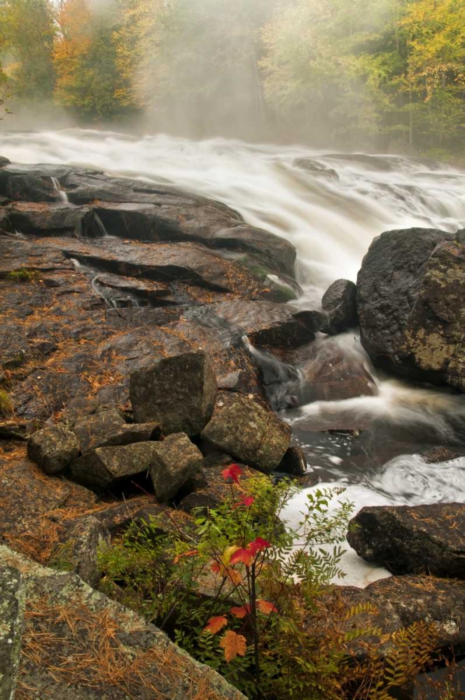 USA, New York, Inlet Mist over rushing stream art print by Jay OBrien for $57.95 CAD