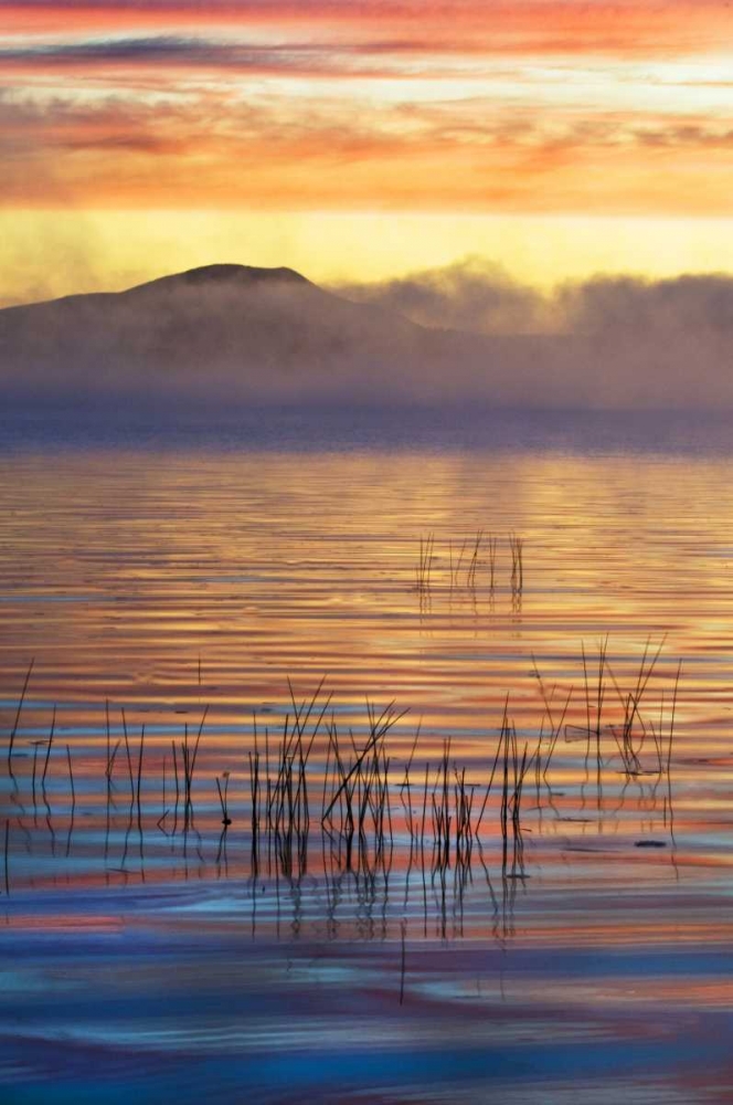 New York, Adirondack Mts Racquette Lake, sunrise art print by Nancy Rotenberg for $57.95 CAD