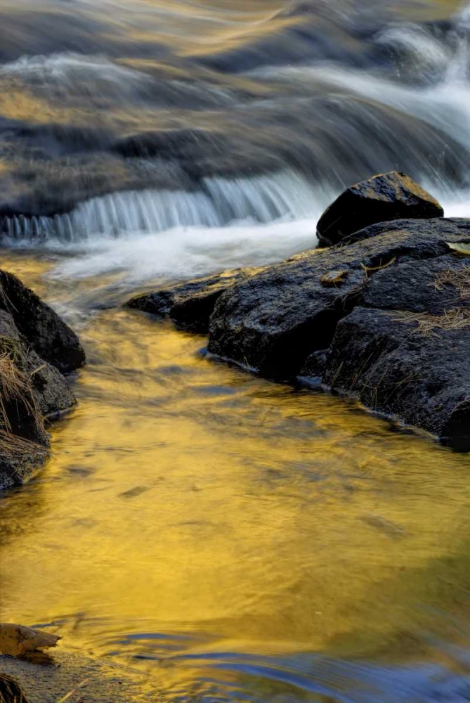 NY, Adirondack Mts Stream at Buttermilk Falls art print by Jay OBrien for $57.95 CAD