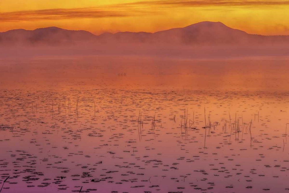 New York, Adirondack Mts Mist on Raquette Lake art print by Jay OBrien for $57.95 CAD