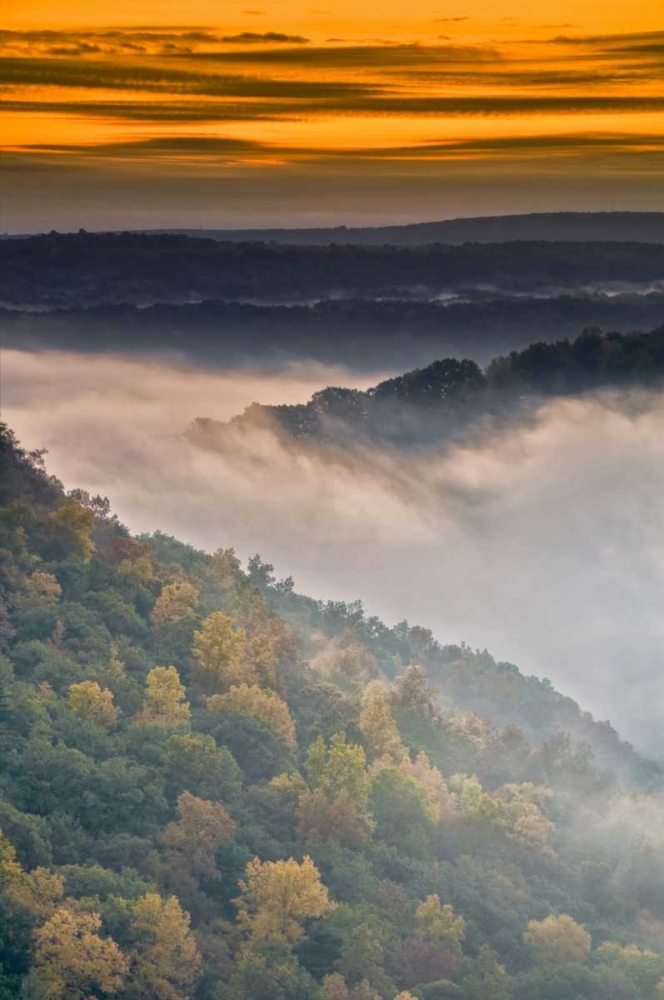 New York, Letchworth SP Foggy landscape, sunrise art print by Jay OBrien for $57.95 CAD