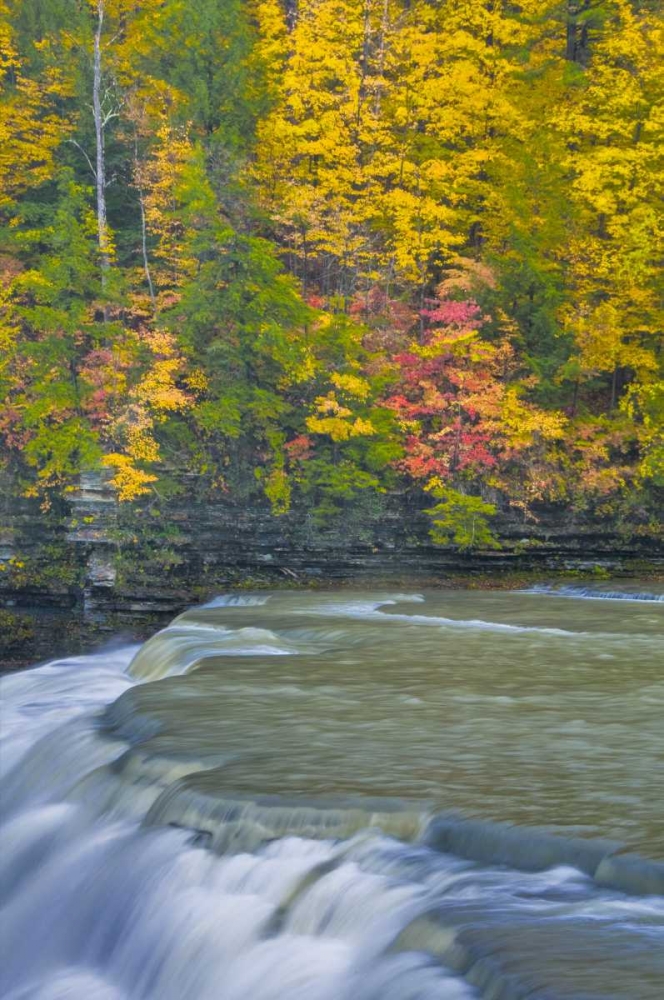 NY, Letchworth SP Waterfall and forest scenic art print by Jay OBrien for $57.95 CAD