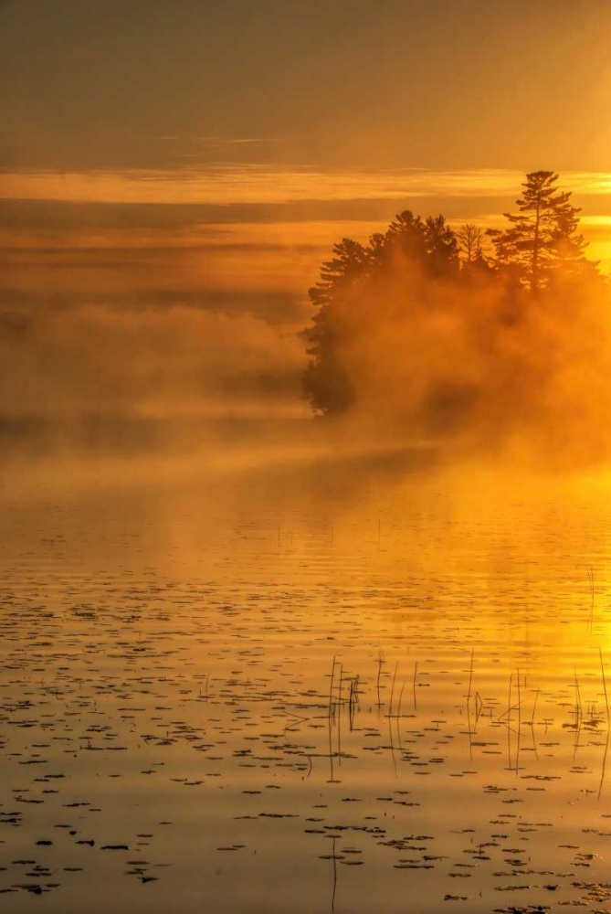 New York, Adirondack Mts Mist on Raquette Lake art print by Jay OBrien for $57.95 CAD