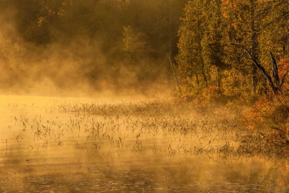 New York, Adirondack Mts Mist on Raquette Lake art print by Jay OBrien for $57.95 CAD