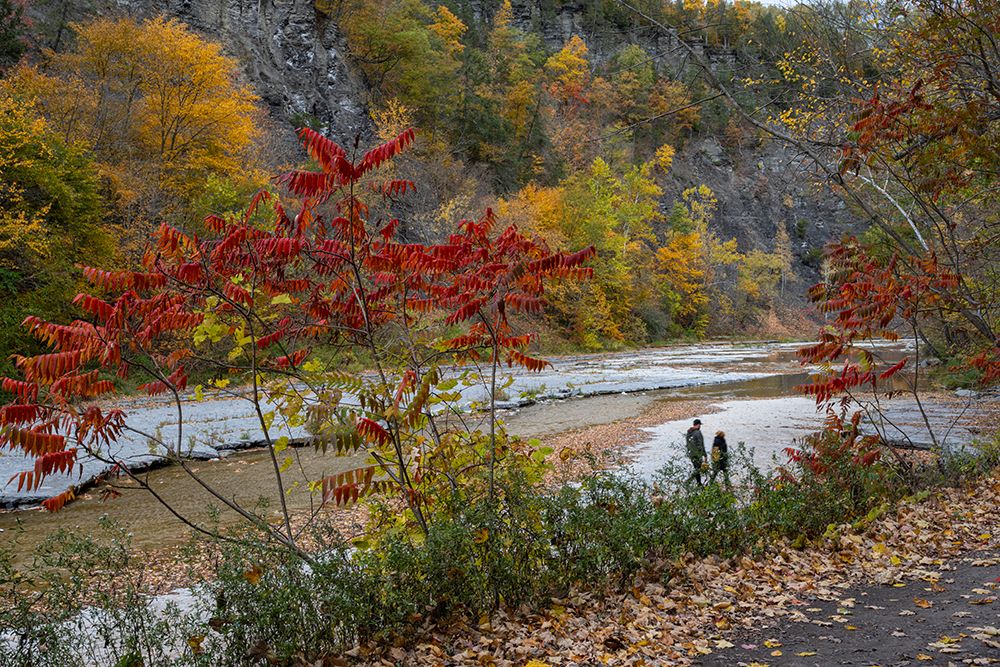USA, New York. Couple walking along creek, Taughannock Falls State Park. art print by Howie Garber for $57.95 CAD